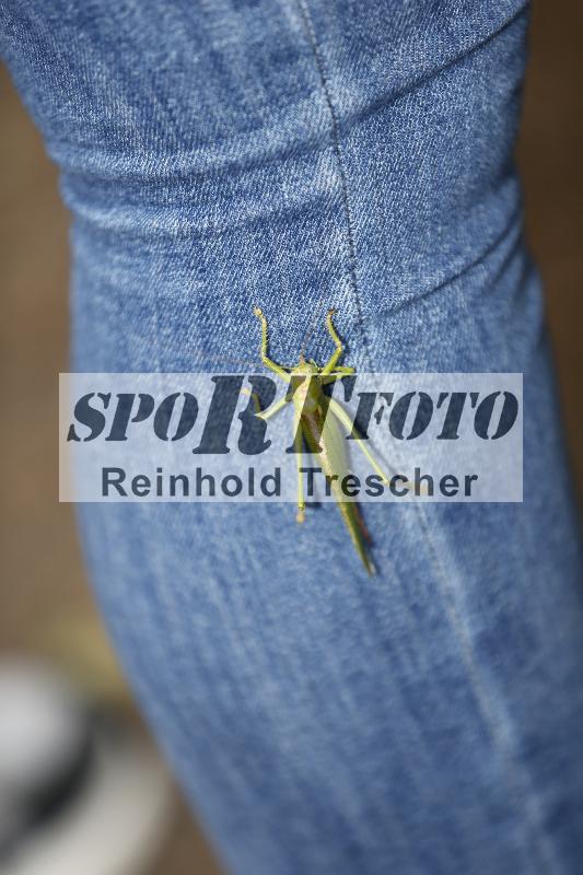 /Archiv-2025/53 16.09.2025 Track Day Domi Aegerter ADR/Impressionen